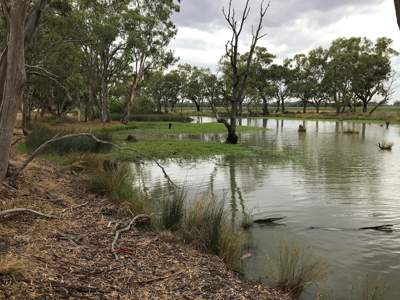 Have your say on the lower Broken and Nine Mile creeks at a Goulburn Broken CMA community workshop