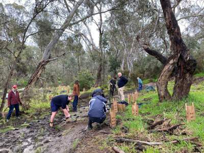 The Euroa Arboretum and Friends of Sevens Creek used grant funding to plant native vegetation on the Sevens Creek at Euroa last year