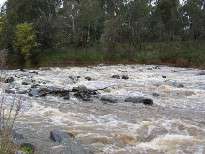 The environmental flow study aims to understand the nature of the rivers and creeks in the catchment and to understand natural flow regimes.