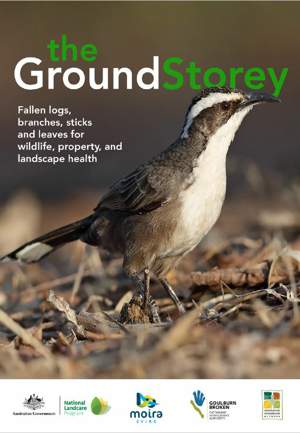 The Ground Storey booklet