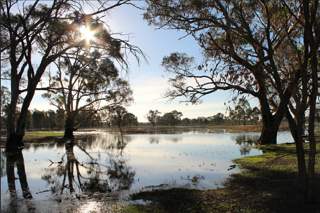 A photograph of a floodplain within the GBCMA district