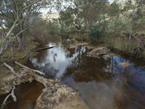 Hughes Creek Trial Site