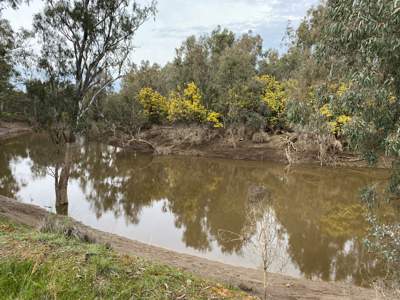 Water for the environment will be delivered down the Goulburn River in September. Pictured is the Goulburn River at Bunbartha.
