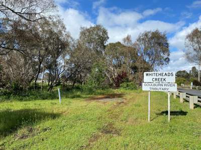 Invasive weeds will be removed along Whiteheads Creek in Seymour.