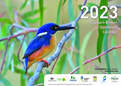 The 2023 Goulburn Broken catchment calendar cover photo features the Azure Kingfisher by Peter Poon.