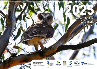 The 2025 Goulburn Broken Catchment calendar cover photo is an Australian Boobook owl by Richard Gregson.
