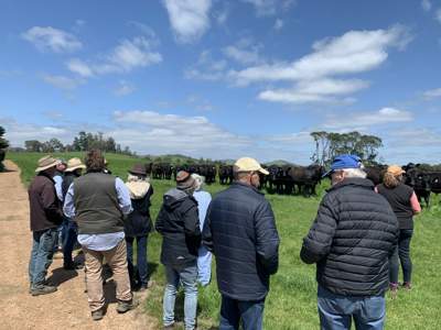 Free carbon farming workshops for livestock producers are being held in Avenel and Tatura in November.