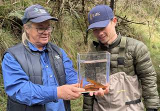Sue Kosch (Goulburn Broken CMA) with Kysan Notting (BIIK Cultural Land Management) with Barred Galaxias.