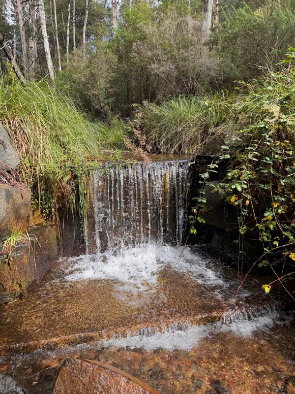 The Perkins Creek fish barrier near Woods Point.