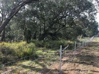 Fencing along Sevens Creeks to manage livestock and protect waterways.