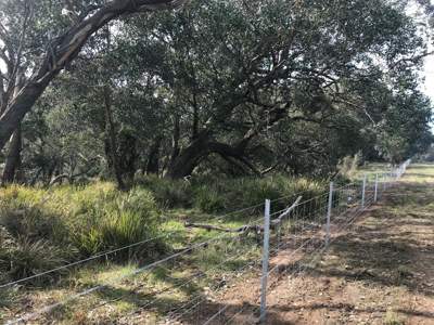 Fencing along Sevens Creeks to manage livestock and protect waterways.