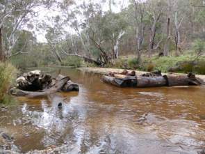 Habitat enhancement works undertaken on the Hughes Creek