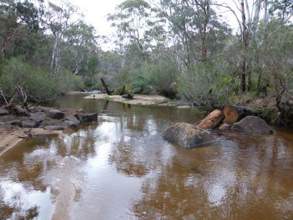 Booroola habitat enhancement works on the Hughes Creek