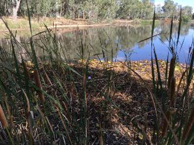 Lake Benalla