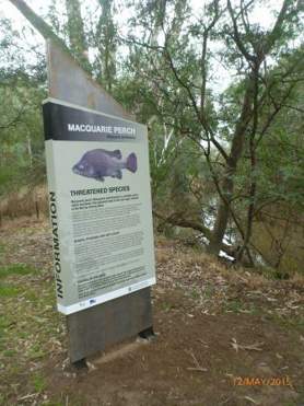 New Macquarie perch signage on the Yea River and Hughes Creek