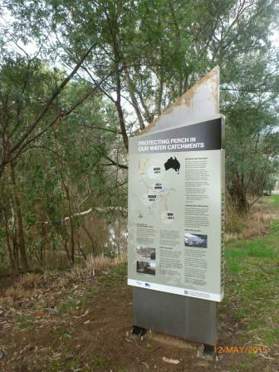 New Macquarie perch signage on the Yea River and Hughes Creek