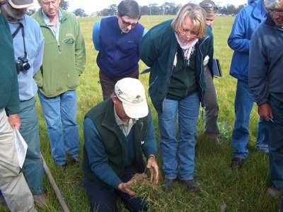 Learn about soil carbon