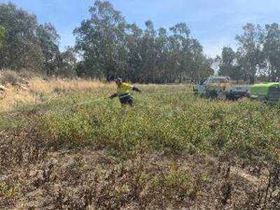 An employment crew member spraying weeds at Winton