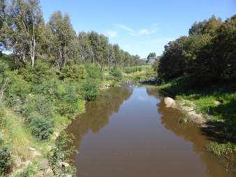 Brankeet fish survey demo 9 Nov 2016