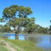 Thumbnail ofRRG Kinnairds Floodway 17-6-08.jpg