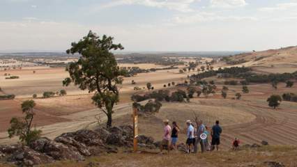 Rock Correa Interpretive Walk Project