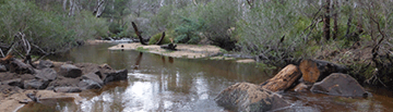 Image of a floodplain