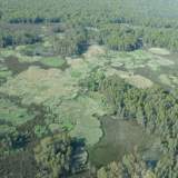 Thumbnail of2020-11-03 (Barmah aerial) 057 - Boals Deadwoods.JPG