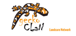 Network Name Logo