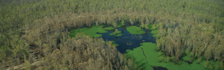 An aerial photograph of a revegetation area within the Goulburn Broken Catchment