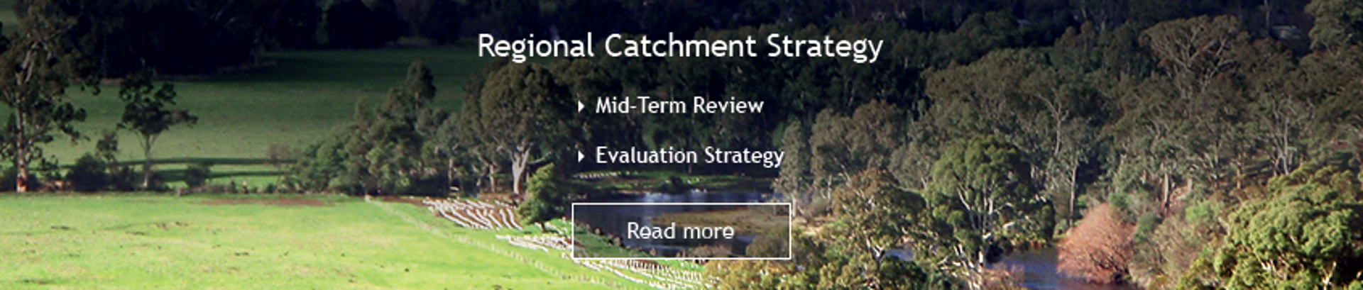 Banner: Regional Catchment Strategy