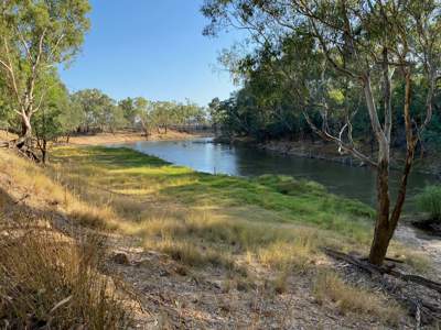 Water for the environment will be delivered down the Goulburn River in Autumn to promote the growth of native bank vegetation.