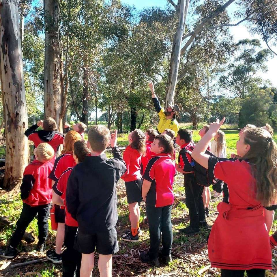 Gecko Clan Landcare Network team