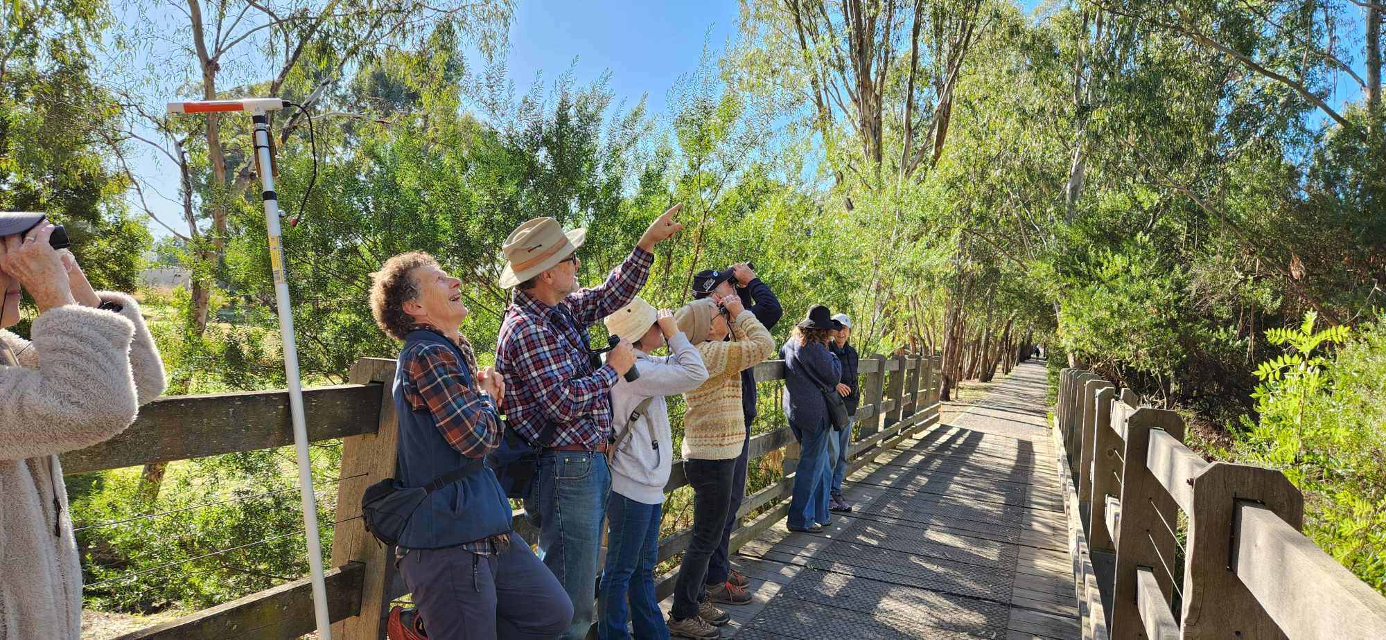 Gecko Clan Landcare Network team