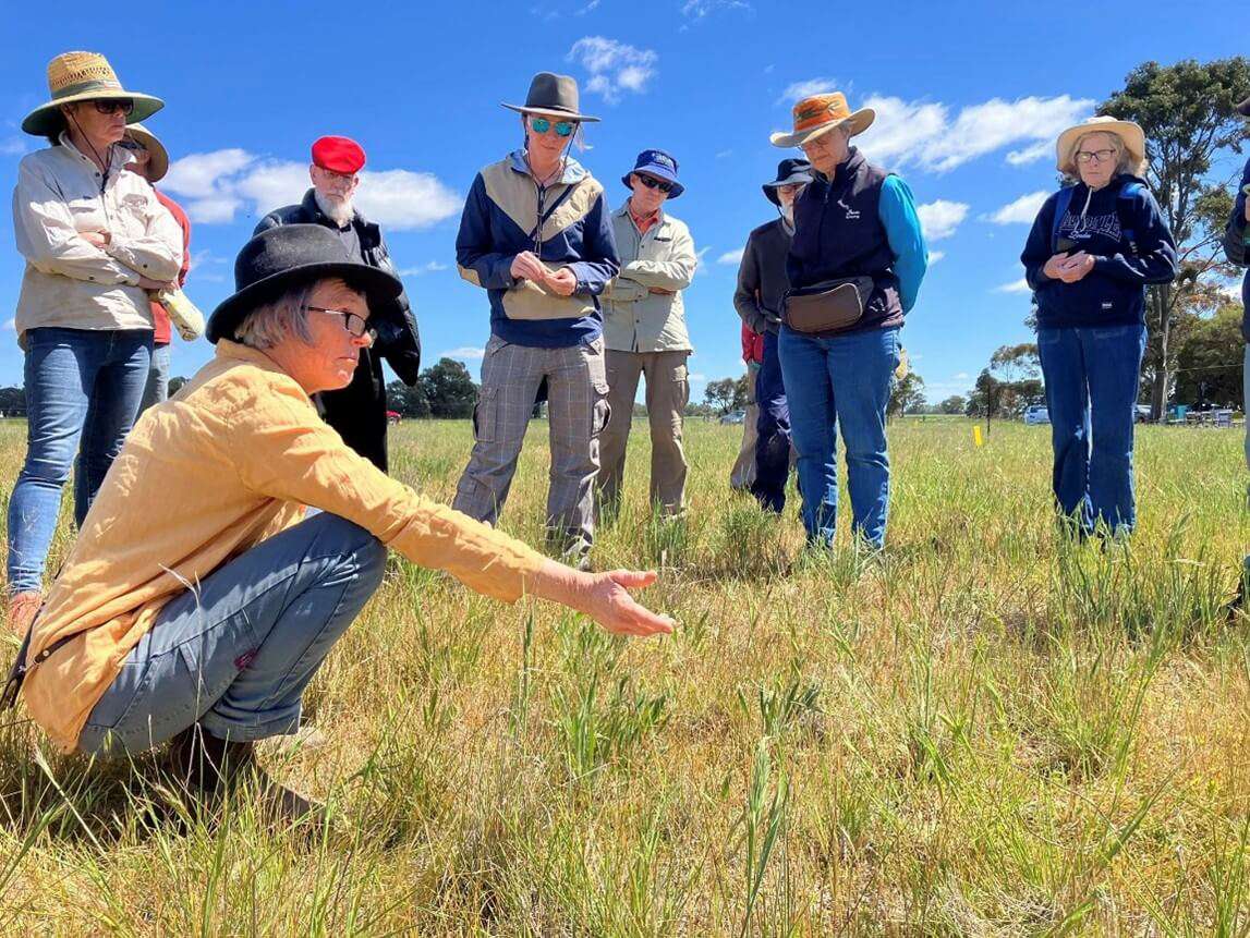 Gecko Clan Landcare Network team