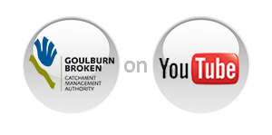 GBCMA on YouTube GBCMA on YouTube