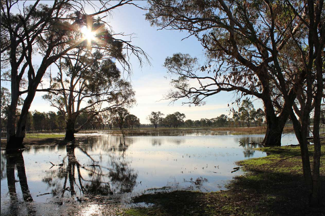 Kinnards wetlands with plenty of water across the ground