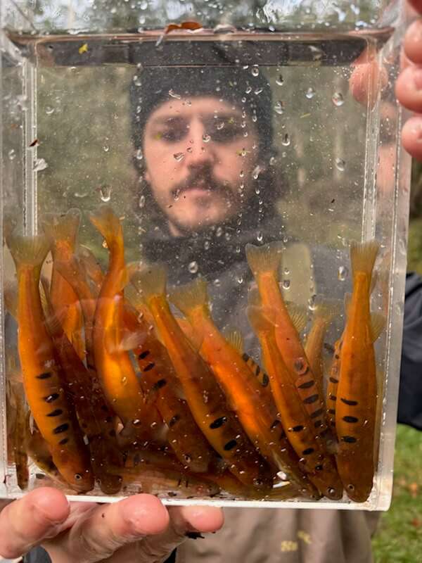  Liam Hogan from Arthur Rylan Institute with Barred Galaxias. Photo ARI.