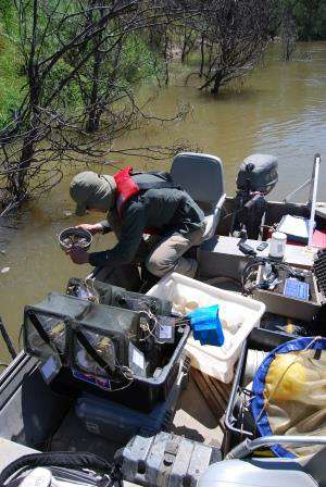 Checking for Golden perch eggs during Larval Drift surveys in the Goulburn River at McCoys Bridge