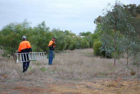 Drought Employment Program crews installing nest boxes in 2008