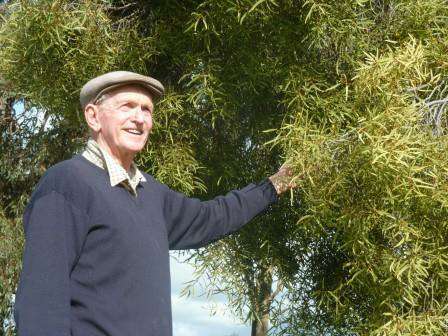 Graeme Trewin with the sole mature quandong on his place.