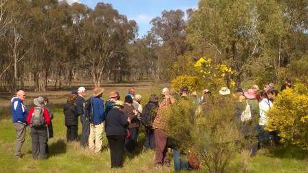 Wrights Reserve - Cooks Tour field day