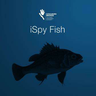 iSpy Fish Icon