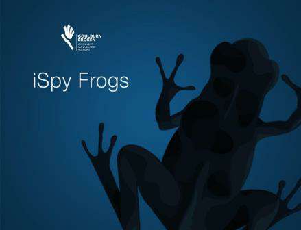 iSpy Frogs Icon