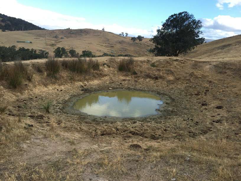 A near empty farm dam