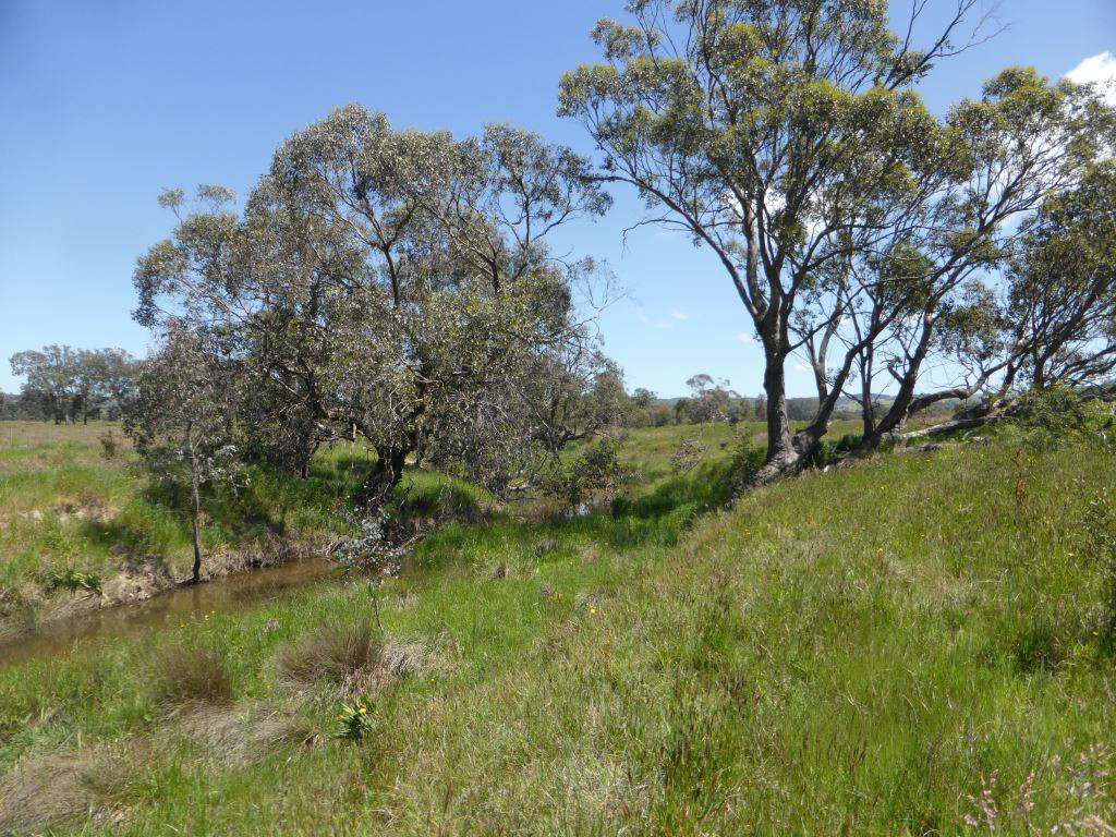 Fraser Merton Creek 9 Nov 2016 Fraser Merton Creek 9 Nov 2016