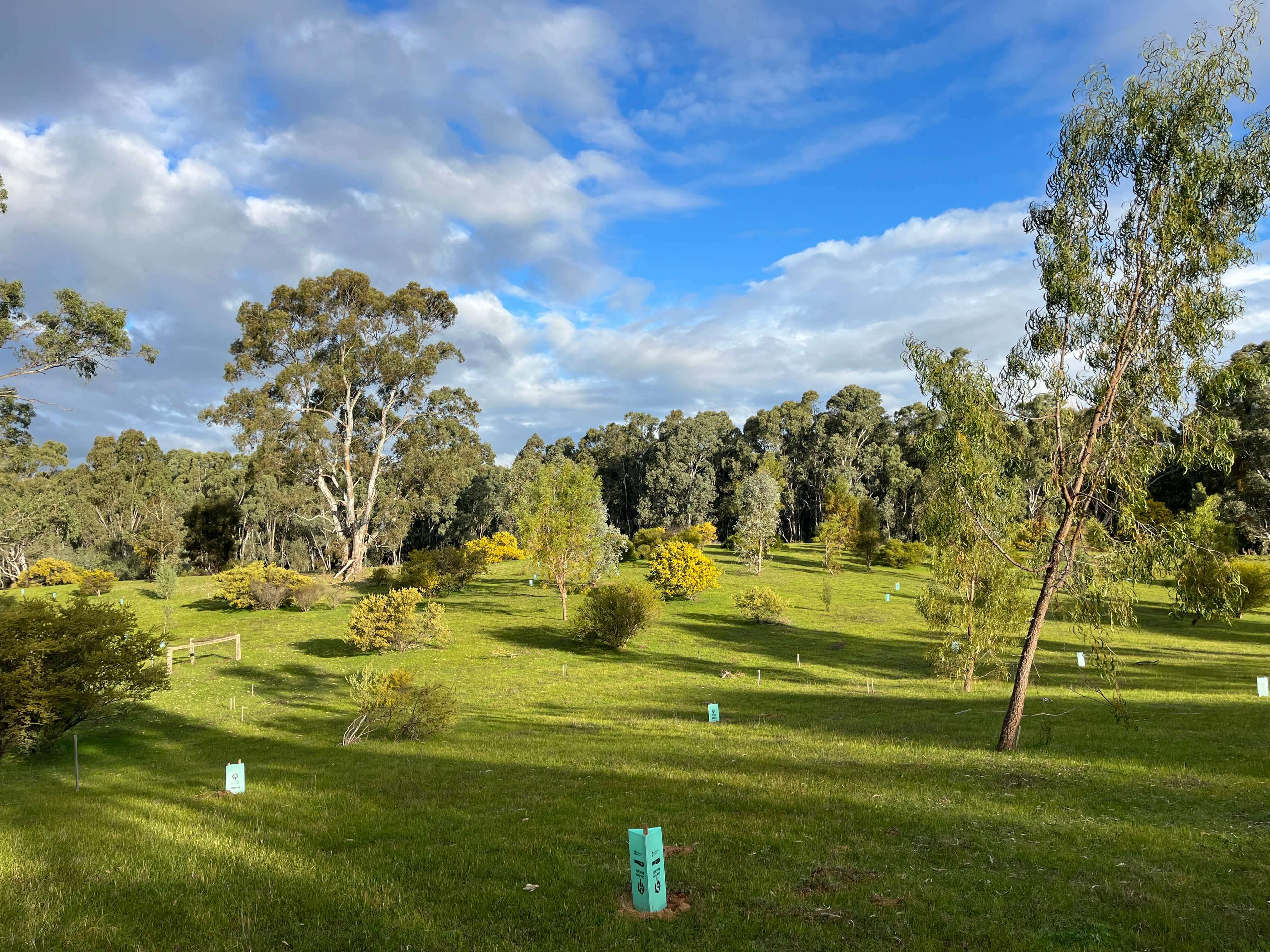 Gemmill Swamp nature Reserve