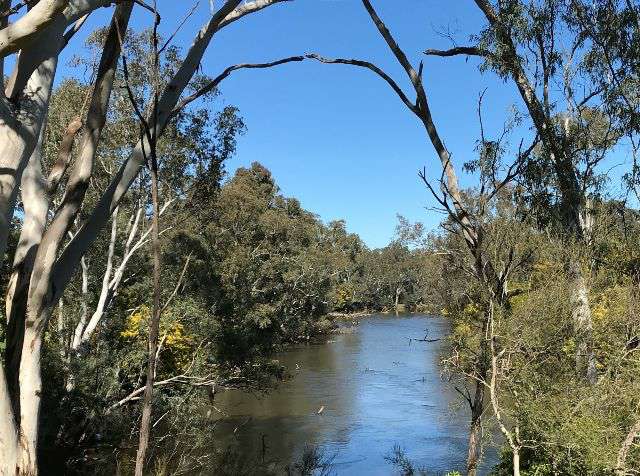 Photograph of the Goulburn River at Trawool, viewed  between the trees
