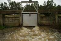 Doctors Swamp: Regulator 4 hours after opening.