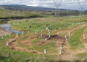 River health programme
